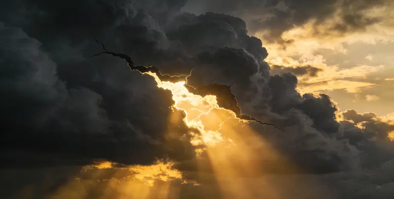 云浮肺癌11基因检测组织版图片1