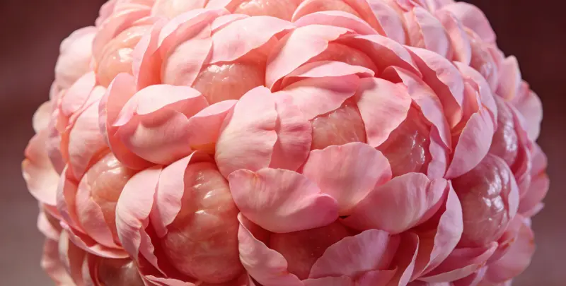 云浮BRCA1/2乳腺癌卵巢癌基因检测图片1